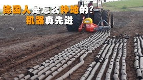 味精包裝機,食品包裝設(shè)備,廠家直銷,歡迎來廠驗貨