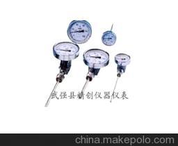 【超強防腐316材WSS-501F雙金屬溫度計】價格,廠家,圖片,溫度計,武強縣精創儀器儀表廠(銷售公司)-