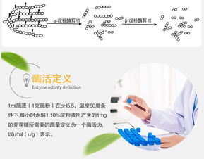 夏盛 β-淀粉酶液體70萬 食品添加劑廠家直銷與互聯(lián)網(wǎng)銷售新機(jī)遇